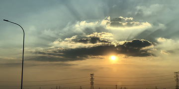 阳高小二技术优势